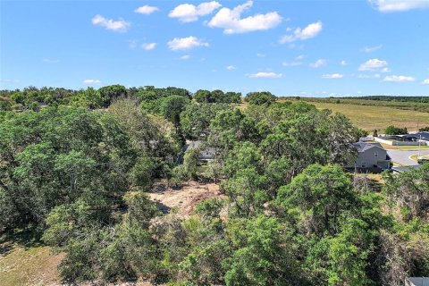 Terreno en venta en Howey-in-the-Hills, Florida № 1722520 - foto 3