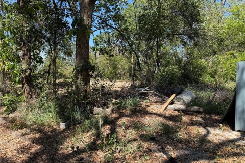 Terreno en venta en Howey-in-the-Hills, Florida № 1722520 - foto 10