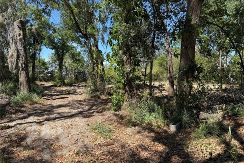 Terreno en venta en Howey-in-the-Hills, Florida № 1722520 - foto 11