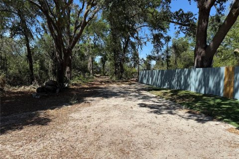 Terreno en venta en Howey-in-the-Hills, Florida № 1722520 - foto 9