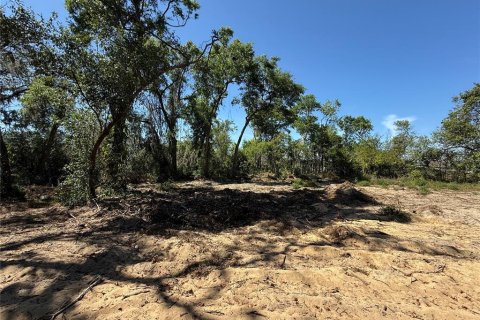Terreno en venta en Howey-in-the-Hills, Florida № 1722520 - foto 17