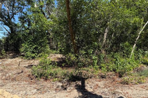 Terreno en venta en Howey-in-the-Hills, Florida № 1722520 - foto 16