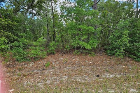 Land in Dunnellon, Florida № 2160853