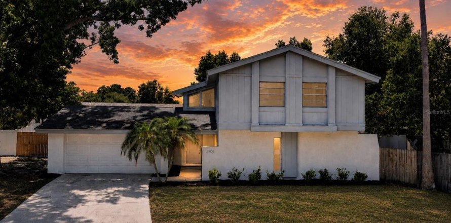 House in Palm Harbor, Florida 4 bedrooms, 197.51 sq.m. № 2219044
