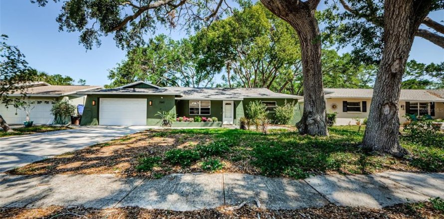 House in Saint Petersburg, Florida 2 bedrooms, 111.11 sq.m. № 1636883
