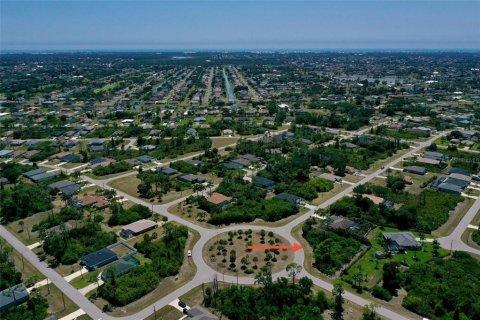 Land in Rotonda, Florida № 2166334 - photo 20