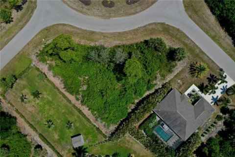Land in Rotonda, Florida № 2166334 - photo 12
