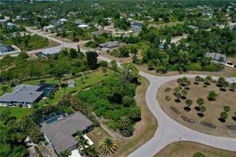 Land in Rotonda, Florida № 2166334 - photo 9