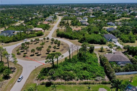 Land in Rotonda, Florida № 2166334 - photo 6
