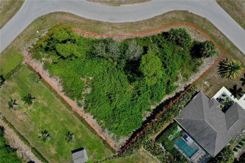 Land in Rotonda, Florida № 2166334 - photo 2