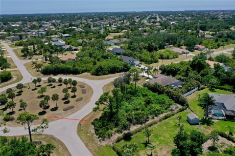 Land in Rotonda, Florida № 2166334 - photo 5