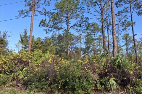 Land in Palm Coast, Florida № 1561538 - photo 2