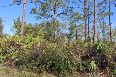 Land in Palm Coast, Florida № 1561538 - photo 3