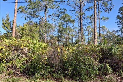 Land in Palm Coast, Florida № 1561538 - photo 1