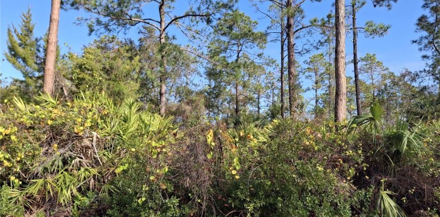 Land in Palm Coast, Florida № 1561538