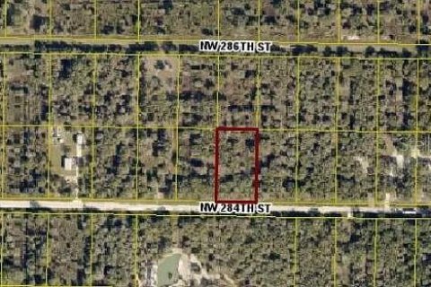 Land in Okeechobee, Florida № 2163850