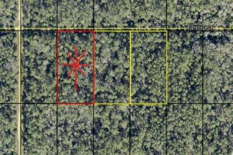 Land in Hastings, Florida № 2360427