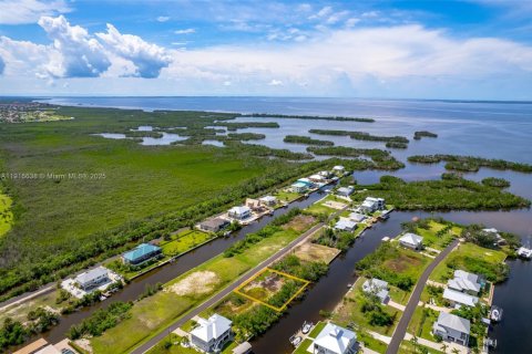 Commercial property in Punta Gorda, Florida № 1971941 - photo 9
