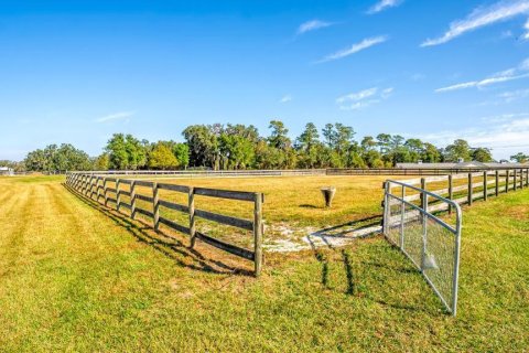 Casa en alquiler en Morriston, Florida, 3 dormitorios, 100.43 m2 № 2104131 - foto 15