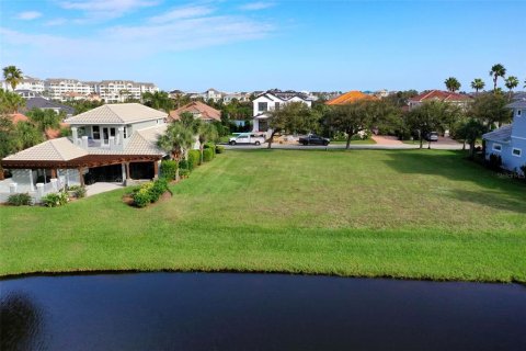 Land in Palm Coast, Florida № 1898495 - photo 11