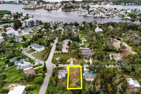 Land in Port Richey, Florida № 2148714 - photo 6
