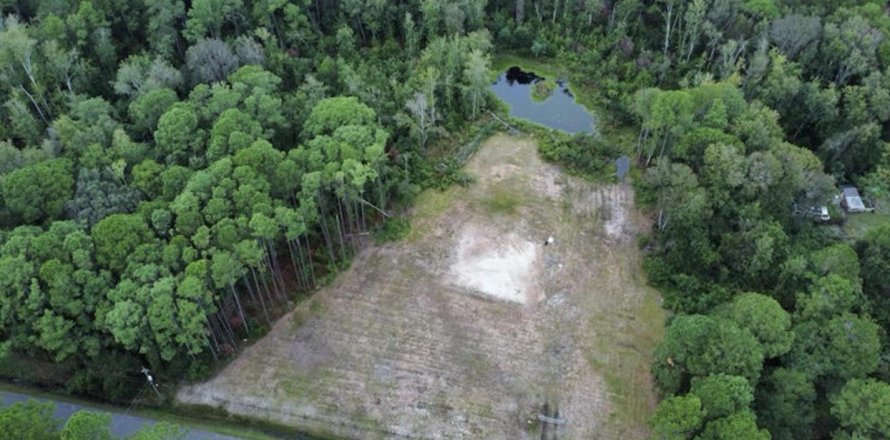 Land in Jacksonville, Florida № 773349