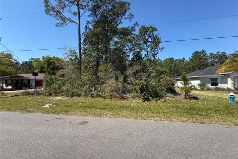 Terreno en venta en Palm Coast, Florida № 1608255 - foto 5