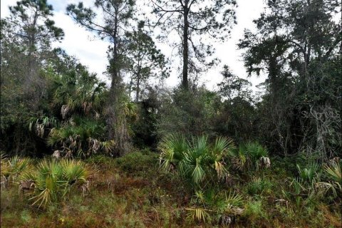Land in North Port, Florida № 2163496 - photo 2