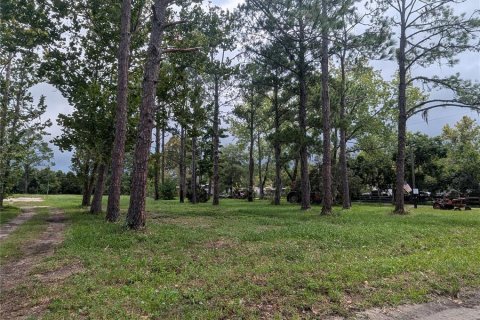 Land in Saint Augustine, Florida № 1351220 - photo 2