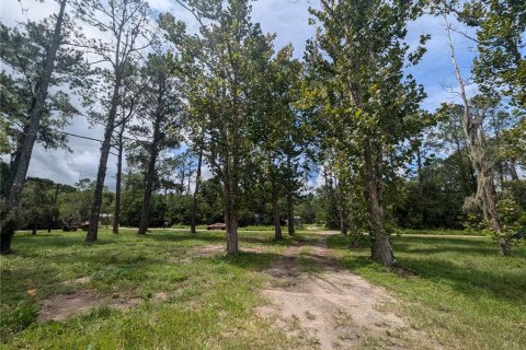 Land in Saint Augustine, Florida № 1351220 - photo 1