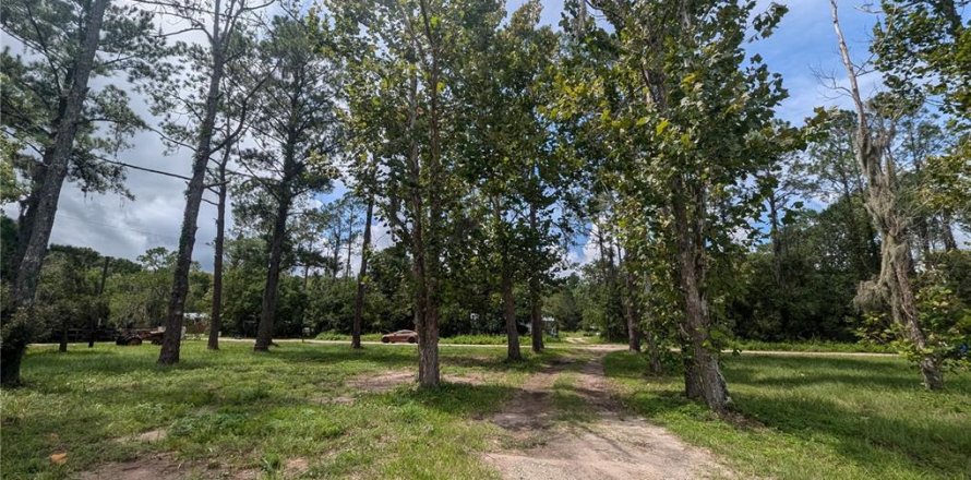 Land in Saint Augustine, Florida № 1351220