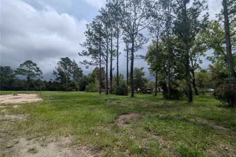 Land in Saint Augustine, Florida № 1351220 - photo 4