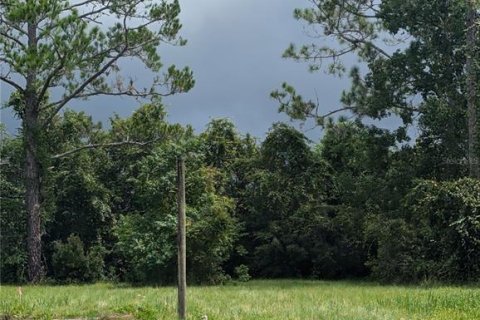 Land in Saint Augustine, Florida № 1351220 - photo 5
