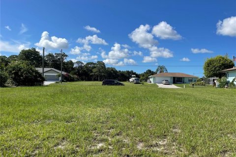 Land in Rotonda, Florida № 2162471 - photo 4