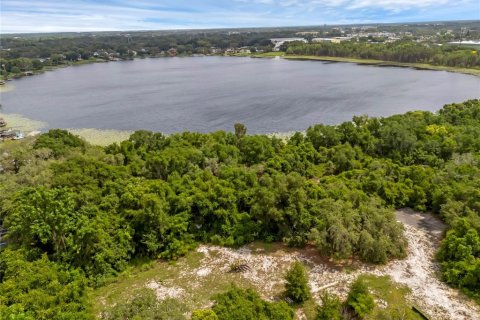 Immobilier commercial à louer à Maitland, Floride № 2299055 - photo 4