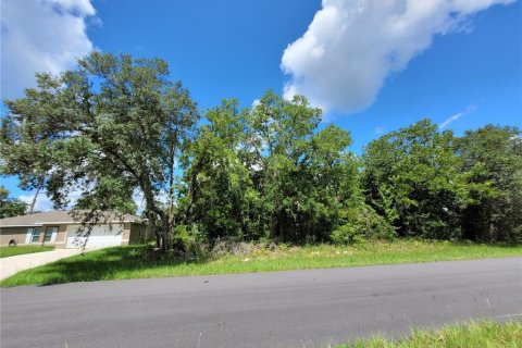 Land in Ocala, Florida № 2215097 - photo 3