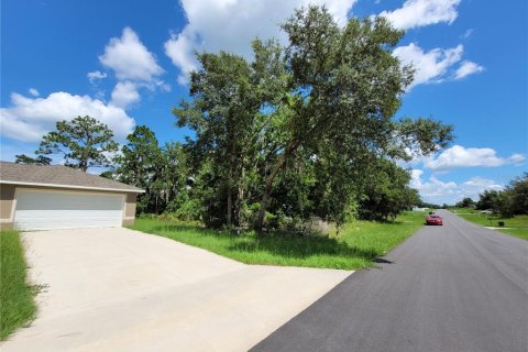 Land in Ocala, Florida № 2215097 - photo 5