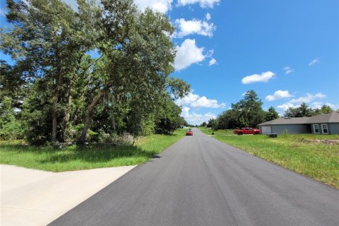 Land in Ocala, Florida № 2215097 - photo 8