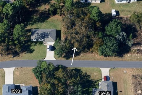 Land in Ocala, Florida № 2215097 - photo 10