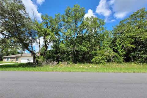 Land in Ocala, Florida № 2215097 - photo 2