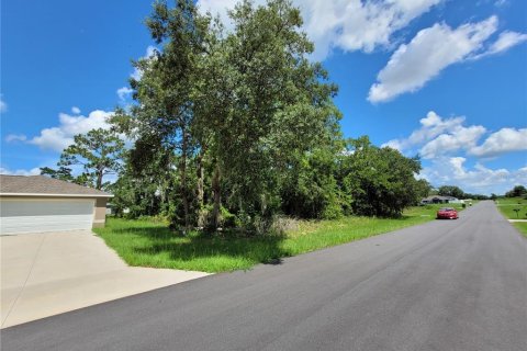Land in Ocala, Florida № 2215097 - photo 4