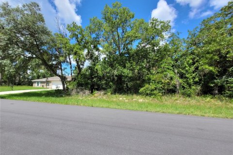Land in Ocala, Florida № 2215097 - photo 6