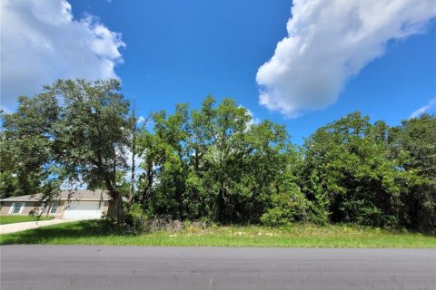 Land in Ocala, Florida № 2215097 - photo 7