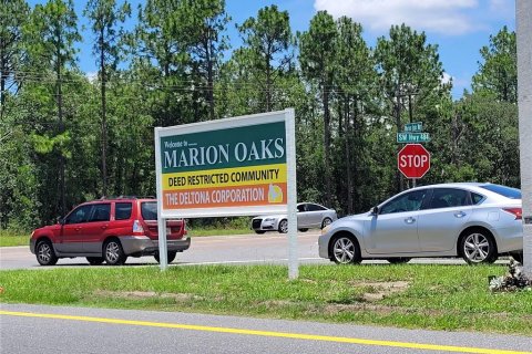 Land in Ocala, Florida № 2215097 - photo 13