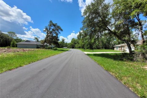 Land in Ocala, Florida № 2215097 - photo 9