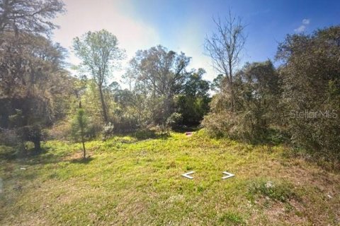 Terrain à Eustis, Floride № 2214786