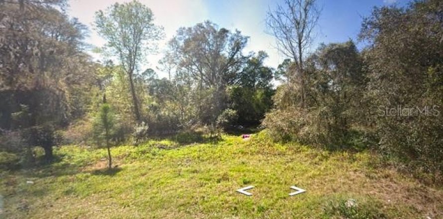 Terrain à Eustis, Floride № 2214786