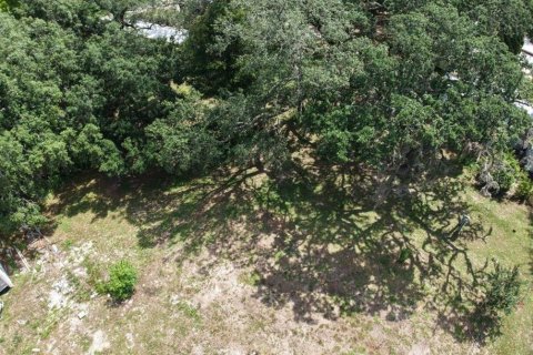Propiedad comercial en venta en Orange City, Florida № 1775471 - foto 20