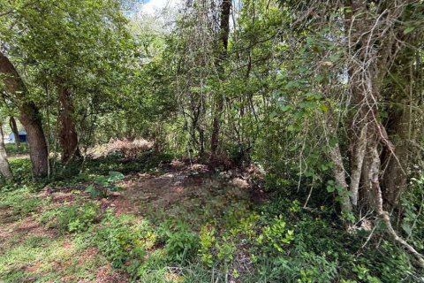 Propiedad comercial en venta en Orange City, Florida № 1775471 - foto 10