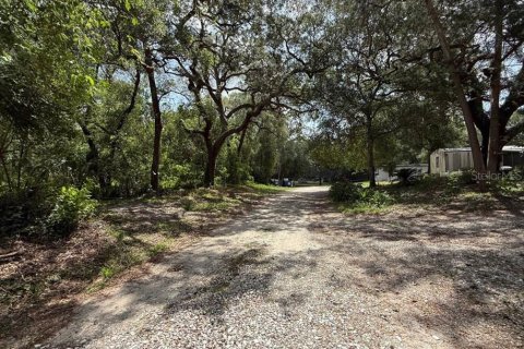 Propiedad comercial en venta en Orange City, Florida № 1775471 - foto 16